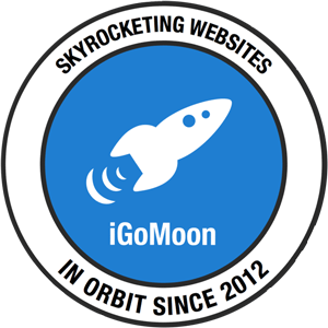 How can iGoMoon help you?